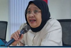 Skema Baru MBG Diungkap! BGN Pastikan Makanan Segar Hanya 5 Hari, Wilayah 3T Dapat Perlakuan Khusus
