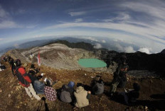 Melihat Jejak Sejarah Kebun Teh Gunung Dempo, Pernah Dibumihanguskan AKibat Sengketa