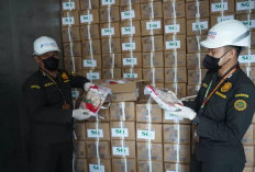 Paha Kodok Rawa Sumsel Tembus Pasar Prancis