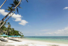 White Lotus Effect: Dampak Lonjakan Wisatawan dan Ancaman Overtourism di Thailand