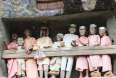 3 Rekomendasi Wisata Budaya di Toraja yang Wajib Dikunjungi