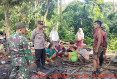 Pulang Berkebun Rumah Terbakar Tinggal Abu dan Arang