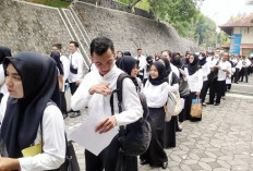 Seleksi PPPK 2024 Tahap 2 Masuki Pemetaan Lokasi, Ini Tahapan Selanjutnya