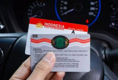 Geger Kabar Pembuatan SIM Gratis dan Masa Berlaku Seumur Hidup?