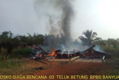 Jago Merah Habiskan Satu Rumah di Teluk Betung