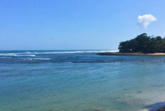 Pantai Cipatujah: Destinasi Tenang nan Alami yang Jarang Orang Tahu
