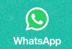 WhatsApp Hadirkan 12 Fitur Baru , Apa Saja Ya?