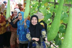 Dukung Sektor Pertanian dan Perikanan yang Berkelanjutan