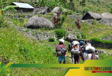 Mengungkap Keindahan dan Keunikan Lembah Baliem di Pegunungan Jayawijaya