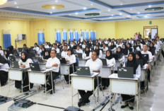 Lolos Passing Grade Tapi Gagal CPNS 2024? Masih Ada Harapan Lewat Jalur Optimalisasi!