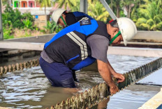 Perumda Tirta Raja Lakukan Pengurasan, Pasokan Air Terganggu!