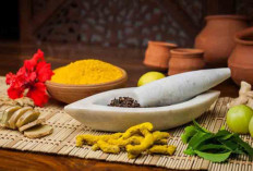 3 Jenis Obat Tradisional yang Umum Dikonsumsi Orang Indonesia
