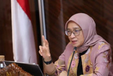 Menteri PANRB Siap Usut Pemda Nakal ! Angkat PPPK di Luar Jadwal, Potensi Langgar UU ASN