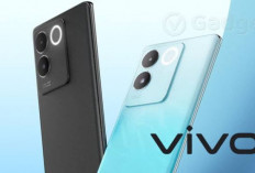 4 Rekomendasi HP Vivo Harga 3 Jutaan Terbaik yang Alami Penurunan Harga di September 2024 Versi DenzhoPro