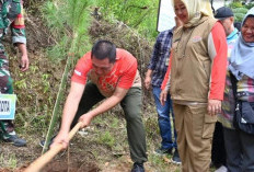 Wako Mulai Program Penanaman 1 Juta Pohon Pinus