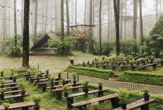 5 Rekomendasi Wisata Seru di Lembang, Bandung: Alam, Edukasi, dan Petualangan dalam Satu Tempat
