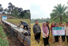 Pemdes Tanjung Kupang Baru Bangun Jalan Usaha Tani