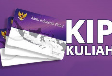 Resmi! Cara Daftar KIP Kuliah 2025 Jalur Mandiri, Cek Syarat dan Besaran Bantuan