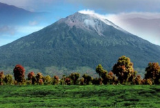 Eksplorasi 5 Wisata Alam Eksotis di Kuningan Jawa Barat, Surga di Kaki Gunung Ciremai