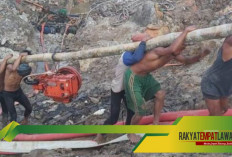 WOW...!Penambang Timah Ilegal di Bangka Belitung Bisa Menghasilkan Rp500 Juta per Bulan