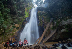 Pesona Tersembunyi di Kaki Gunung Dempo