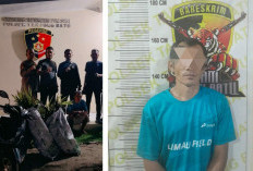 Polsek Tanjung Batu Tangkap Pelaku Pencuri Bibit Sawit