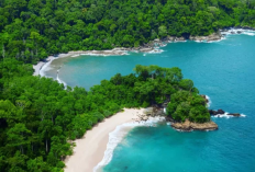 Teluk Hijau Banyuwangi: Surga Tersembunyi dengan Air Laut Berwarna Zamrud