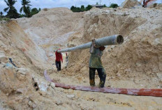 Melelik Tambang Timah Bangka Belitung: Sejarah Panjang, Ancaman Lingkungan, dan Harapan Masa Depan