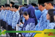 Besaran Gaji PNS dan PPPK Tahun 2025, Mana yang Tertinggi?