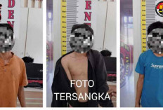 Tiga Warga Kikim Ini Ditangkap Polisi Usai Panen Sawit