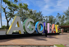 Bintan Genjot Event Wisata demi Capai Target 500 Ribu Wisman Tahun 2025