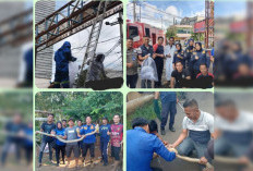 Damkar Lahat Juga Tangani Penyelamatan Hewan Berbahaya