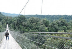 Sensasi Ekstrem! Jembatan Gantung Sukabumi Bikin Jantung Berdebar, Berani Coba?
