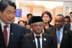 Mendikdasmen: Pelatihan Guru Coding dan AI Sudah Dimulai, Kurikulum Resmi Disiapkan!