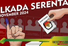 Pilkada 2024 di Bangka Belitung: Tiga Daerah Diprediksi Lawan Kotak Kosong!