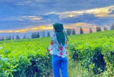 Liburan Keluarga di Pematangsiantar, Ini 5 Tempat Wisata yang Wajib Dikunjungi