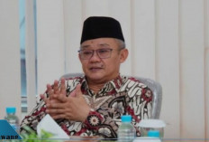 Jumlah Pustakawan Masih Minim, Mendikdasmen Siap Tambah Prodi Perpustakaan dan Angkat Sebagai Tenaga Kependidi