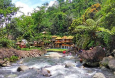 Menikmati Curug Bayan, Destinasi Wisata Alam Dekat Stasiun Purwokerto yang Cocok untuk Libur Lebaran