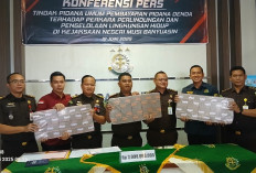 Kejari Muba Tahan Terdakwa  dan Terima Denda Sebesar 3 Milyar