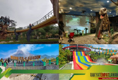 Dari Taman Pintar sampai Kaliadem: Wisata Edukasi Penuh Petualangan di Jogja 2025
