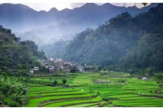 Desa Wisata Tempur, Surga Tersembunyi di Jepara yang Sajikan Alam, Kuliner, dan Kopi Eksotis