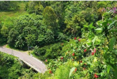 Jembatan Cigede: Penampakan Wanita Cantik Di Malam Jum'at Kliwon 