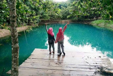Melihat Rahasia Keindahan Prabumulih: 7 Tempat Wisata yang Siap Bikin Kamu Terpukau