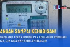 Jangan Sampai Kehabisan! Diskon 50% Token Listrik PLN Berlanjut Februari 2025, Cek Sisa kWh Sebelum Hangus!