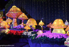 Malang Night Paradise: Wisata Malam di Kota Malang