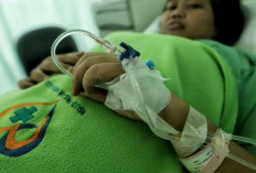 Kasus DBD di Sumsel Melonjak Tajam!