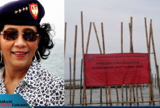 Susi Pudjiastuti Soroti Pagar Laut di Pantai Utara Tangerang: Harapkan Langkah Tegas Presiden Prabowo