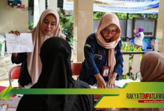 Pendaftaran KPPS Pilkada 2024 Resmi Dibuka: Syarat, Dokumen, dan Proses Pendaftaran