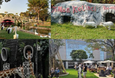 Tempat Wisata Edukatif Terbaik di Jakarta: Seru, Murah, dan Mendidik!