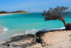 Pesona Pantai Otan di Pulau Semau, Surga Tersembunyi di Kabupaten Kupang, NTT